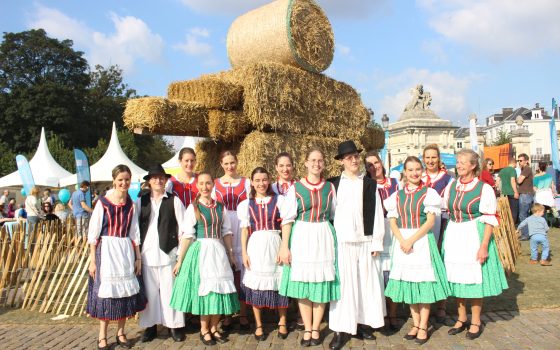 L’Ensemble Clap’Sabots à Bruxelles Champêtre 2016