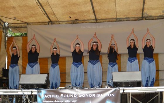 Rencontre avec les danseurs roumains de l’Asamblul Folcloric Florile Tarcăului